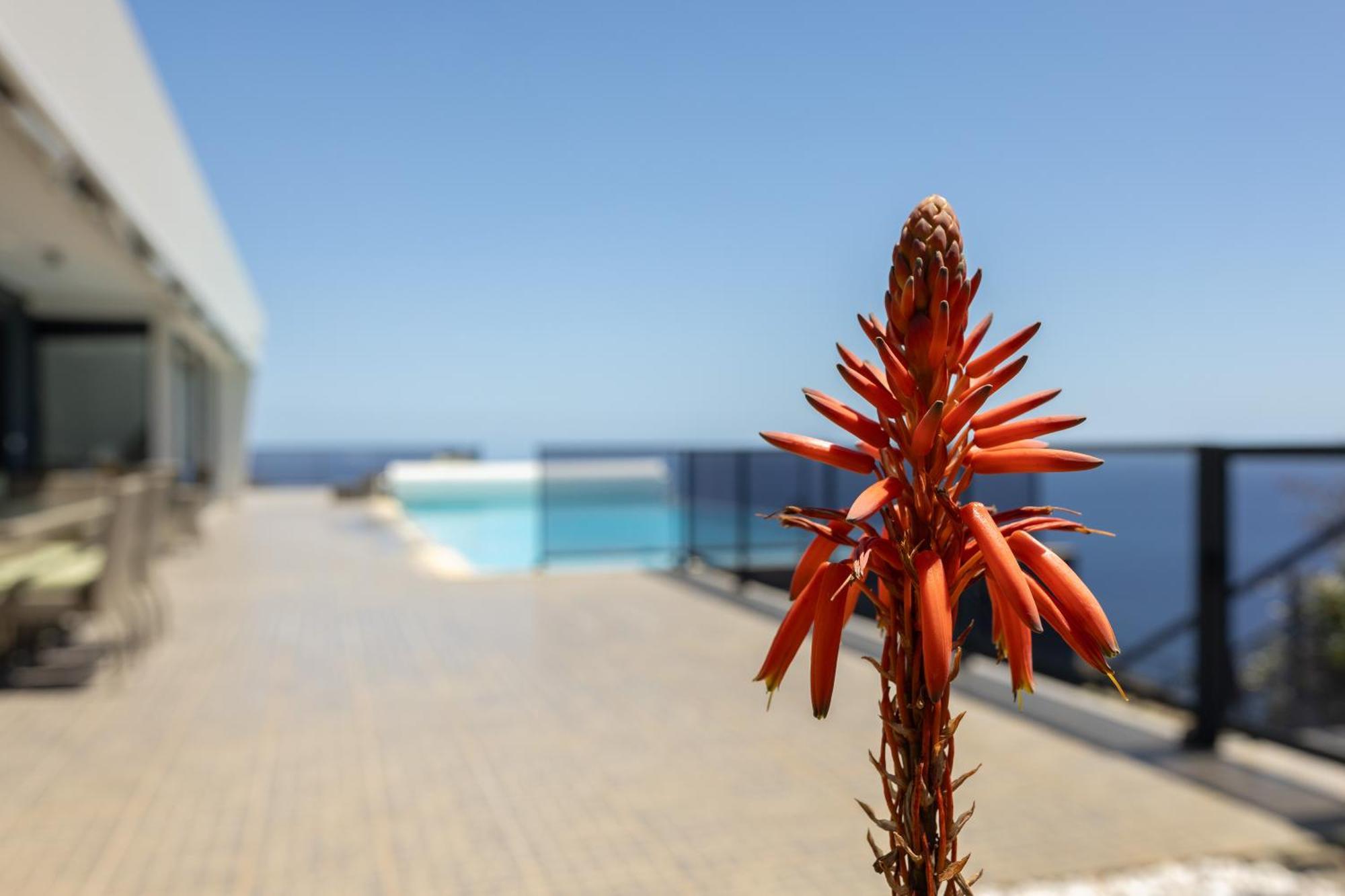 Villa Pascal By Rmz Estreito da Calheta Kültér fotó
